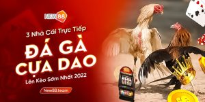 đá gà cựa dao