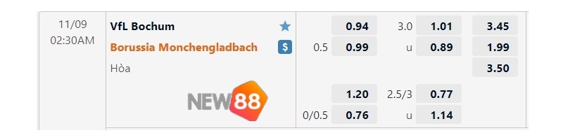 Tỷ lệ keo Bochum vs Borussia Monchengladbach