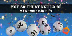 Một Số Thuật Ngữ Lô Đề mà Newbie Cần Phải Biết